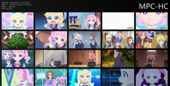 [分享](賣xx)秘密的偶像公主