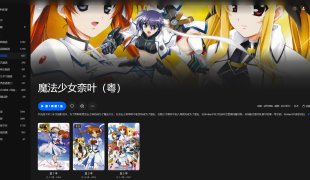 【粤配】魔法少女奈葉1-3季——30天-迅雷