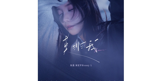 鱼蛋刘/宏宇Honey L - 莫非我『莫非我没有比她跟你更登对 偏偏装作识趣，却忙于背后 打听她各种壮举。』【动态歌词MV】