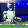 難怪澳門人生育率愈來愈低...