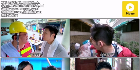 [自压]金大花的华丽冒险 HDJrip